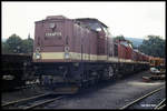 Blick am 7.9.1991 auf gleich fünf  Harz Kamele  im BW Wernigerode Westerntor. Die Reihe der abgestellten Loks führt 199871 an.