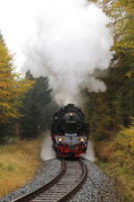 Scheinanfahrt Nr.2 von 99 6001 mit IG HSB-Sonderzug am 22.10.2016 kurz vor dem Haltepunkt Birkenmoor.