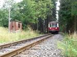 Im Kilometer 25 der Harzquerbahn befinden sich die Überreste der ehemaligen Holzladestelle Kälberbruch, an deren markanten Wellblechhäuschen der T 42 am 17.08.2012 auf die Fotografen zu