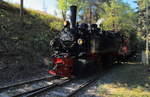 Nach dem Umstellen der Weiche, fährt 99 5906 mit ihrem Jubiläumssonderzug nun in das Anschlußgleis des Unterberger Steinbruches ein.