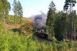 Vorbeifahrt von 99 234 mit P8931 (Wernigerode-Brocken) am 31.08.2019 unterhalb des Gasthofes  Drei Annen .