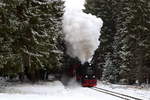 Scheinanfahrt von 99 7232 mit IG HSB-Sonder-PmG (Wernigerode-Hasselfelde) am Vormittag des 25.02.2017 zwischen Elend und Sorge, kurz vor dem Bahnübergang Wietfelder Straße. (Bild 1) Mit Volldampf und durchdringendem Pfeifen, welches als hallendes Echo vom umliegenden Wald wiedergegeben wird, taucht der Zug hier zwischen den Bäumen des Harzwaldes auf.