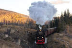 Mit dem allerletzten Sonnenstrahl schnauft 99 7237-3 mit ihrem Zug dem Brocken hinauf. Kurz vor Schierke. 5.11.22