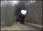 Kurz vor dem Bahnhof Wernigerode-Hasserode kommt hier am 4.2.2024 die HSB Dampflok 99236 mit ihrem Personenzug aus Drei Annen Hohne angerollt.