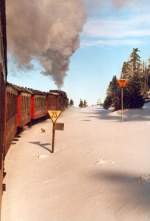 Dampfzug mit HSB-Zug 8931 am 12.1.01 auf den Brocken