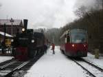 99 5906-5 mit dem Dampfzug aus/nach Quedlinburg am 31.1.2009 im verschneiten Alexisbad.