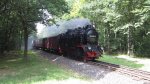 HSB 996001-4 in der Nhe von Sternhaus Ramberg unterwegs mit Zug 8955 am 12.08.2012.