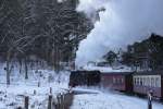 99 7237 mit P8937 zum Brocken am 25 .01.2013 beim Passieren der engen Kurve an der  Steinernen Renne .