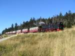 Das Foto find ich persnlich sehr schn! Die Brockenbahn am Anfang vom Bahnparallelweg auf der Rckfahrt am 9.September vom Brocken nach Wernigerode! Der Zug fhrt wie alle Zge (Sommerfahrplan) an dieser Stelle in die Ausweichstelle, um den Zug der zum Brocken entgegen kommt, durchfahren zu lassen! Auf einem andern Foto von mir sieht man die Ausweichstelle mit Zug