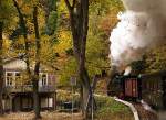 99 5901 mit einem Sonderzug der IG HSB zum Brocken am 18.10.2013 in der Kurve kurz vor Erreichen des Haltepunktes  Steinerne Renne . Sie befährt soeben den engsten Kurvenradius bei den Harzer Schmalspurbahnen. Im Gebäude links befindet sich ein kleines Wasserkraftwerk.