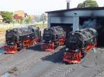 Die 99 7243-0, 99 7240-7 und 99 7243-1 warten am Bahnbetriebswerk Wernigerode auf ihren Einsatz.