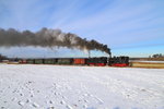 99 6101 und 99 5901 mit IG HSB-Sonder-PmG am 14.02.2015 bei einer zusätzlichen Scheinanfahrt (war nicht im Programm vorgesehen), auf der Hochebene zwischen Hasselfelde und Stiege, in der Nähe des Stieger Wasserturms. (Bild 2)