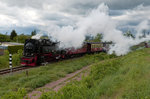 Wenn einem der in den letzten Tagen so aktive Westwind einen Strich durch die Rechnung macht und einem das Dampfbild ruiniert. Der Brockenzug im Stadtgebiet von Nordhausen zwischen dem Haltepunkt Altentor und Endstation Nordhausen-Nord 15.05.2016