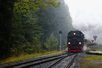 Vom Brocken kommend,  schlängelt  sich Planzug 8922 mit 99 236 an der Spitze, am 16.10.2015 in den Bahnhof Drei Annen Hohne.