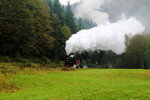 Scheinanfahrt von 99 5901 mit IG HSB-Sonderzug am 17.10.2015 bei Netzkater zwischen Ilfeld und Eisfelder Talmühle.