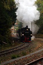 Scheinausfahrt von 99 5901 mit IG HSB-Sonderzug am 17.10.2015 aus dem Bahnhof Eisfelder Talmühle auf dem Gleis der Selketalstrecke.