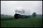 99739 war am 16.5.1996 um 17.02 Uhr mit dem Personenzug nach Radeburg bei Berbisdorf unterwegs.