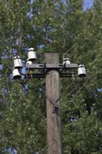 Nicht mehr genutzt, die Telegrafenleitung zwischen Friedewald und Moritzburg.