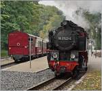 In Heiligendamm kreuzen sich stündlich die MOLLI Züge der Strecke Bad Doberan Kühlungsborn West und es dampft und raucht dass es eine Freude ist!   Im Bild die 99 2323-0 auf dem Weg