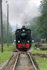 Lok 60  Bieberlies  vor der Einfahrt in den Bahnhof Hinghausen, das Ziel einer Sonderfahrt der HEG am 02.09.2007.