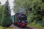 Der RASENDE ROLAND mit der Lok 994011 im Regenschauer vor Lauterbach Mole.