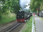 Zwischen Binz und Ghren pendelte 99 1781 am 22.Juli 2013.Zum Zeitpunkt meiner Aufnahme verlie P231 nach Ghren den Bahnhof Binz LB.