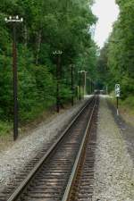 Typisches Bild der Strecke der RBB in der Baaber Heide, aus  Richtung Ghren in Richtung Philippshagen -  Tannenheim, vor  2 oder 3 Jahren (?) wurde hier der Oberbau komplett erneuert.