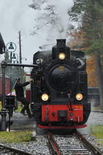 Lok 60  Bieberlies  beim Wasser fassen im November 2018 am Bahnhof Hüinghausen.