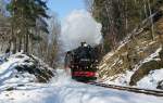 29.01.2011, Weieritztalbahn, P 5004 mit 99 1734-5 in der Dippoldiswalder Heide zwischen Seifersdorf und Malter