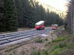 Oberweißbacher Bergbahn 2005 - Im Schatten der Nadelbäume führt die Bergstrecke der Oberweißbacher Bergbahn von Obstfelderschmiede nach Lichtenhain an der Bergbahn. Diese Strecke ist die einzige, von der DB betriebene Bergbahn.