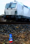 Jahreszeitlich bedingt muß der Eisenbahnfotograf momentan mit Langohren rechnen, die ihm durchs Bild hoppeln, so wie hier am 11.03.2016 in Nievenheim.