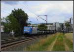 Das Lokführer zum Thema  Trainspotting  unterschiedliche Meinungen aufweisen, ich glaube darüber müssen wir hier nicht diskutieren.
Die einen grüßen freundlich, sei es akustisch mit dem Signalhorn, optisch mit einem kurzen aufblenden des Fernlichts oder einfach nur ein kurzes grüßen mit der Hand.
Andere dagegen gehen ungestört ihrer Arbeit nach und lassen sich halt fotografieren. In der nächsten Kategorie tauchen dann die auf, die den Fotografen ein wenig ärgern wollen: Rücklicht rein, Panto runter etc...
Und dann gibt es noch die, welche immer denken, dass der Fotograf es auf die Person absieht welche in der Lok sitzt und weniger auf die Lok selber.
Die Reaktionen darauf sind dann meistens Sonnenblende runter, sich nach unten ducken oder einfach...den Buchfahrplan vor's Gesicht halten...
Diese Maßnahme ergriff der Lokführer von 185 514, als er mich am 21.6.14 bei Karlstadt am Main an der Strecke entdeckte.
Sei's drum, mir geht es beim Ausüben meines Hobbys in erster Linie um das Fotografieren der Loks und nicht um das Personal welches sich darin befindet.