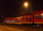 Twindexx 445 005-5 DB Regio in Hochstadt/ Marktzeuln am 07.02.2017.