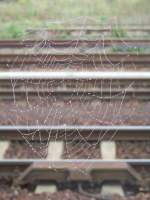 Spinnennetz als Bahnimpression im Lbbenauer Bahnhof gesehen. 27.09.2008