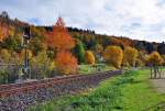 Natur und Bahn - Schienen zwischen Herbstbäumen kurz vor Bad-Münstereifel - 30.10.2010