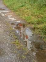 Wasserspiegelung in einer Wasserpfütze in Essen Eiberg. 

Essen Eiberg 21.09.2014