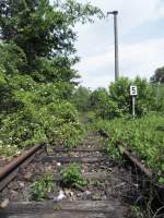 Langsam erobert sich die Natur zurück, was ihr gehört. Aufgelassenes Anschlussgleis zu einem Gewerbegebiet bei Ingolstadt. Als einziges wurde die Oberleitung demontiert, die Masten und alles andere steht noch. Aufgenommen am 29.05.2015 am Abzweig von der Stecke Ingolstadt-Regensburg kurz vor dem Bahnhof Lindach.