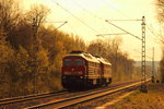 232 209-7 und 232 703-9 DB Cargo bei Michelau in Oberfranken am 14.04.2016.