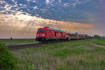 Diesellok 245 021 fährt am Morgen bei einer wunderbaren Stimmung auf der Insel Sylt in Schellinghörn vorüber.Bild vom 19.5.2016