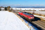 232 173 Triangula überführt 102 004 von DB Regio aus Cheb nach München bei Köfering, 13.02.2021