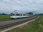 Auch in Bielefeld geht die Zeit der Stadtbahnwagen Typ M langsam vorbei. Am 16.05.2022 Waren N8C 557 und ein weiterer Triebwagen auf dem Weg von Altenhagen nach Sieker, Kurz vor der Station Buschbachtal ist die Gegend noch sehr ländlich.