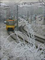 . Bei Raureif den Berg hinauf -

Am Beginn der Steigungstrecke der U2 zum Hauptfriedhof. Diese Streckenstück wurde 2002 mit Umstellung des 2ers auf Stadtbahnbetieb neu eröffnet. Im Hintergrund ist die Haltestelle Obere Ziegelei zu erkennen. 

03.01.2006 (Ma)