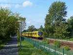 Zwischen Tierpark und Biesdorf Süd überholt Fahrzeug 5006 der BVG die Fußgänger und Radfahrer auf dem Richard-Kolkwitz-Weg.