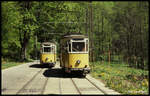 Begegnung der Triebwagen 5 und 21 der Kirnitzschtalbahn nahe Forsthaus am 4.5.1990.