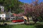 Lockwitztalbahn Tw 9 im Einsatz auf der Kirnitzschtalbahn am 01.05.2012, hier beim Rangieren an der Hst.