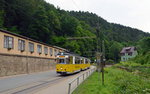 Diese Kirnitzschtalbahn war am 16.06.16 unterwegs vom Lichtenhainer Wasserfall zum Endpunkt Bad Schandau Kurpark als sie den haltepunkt Botanischer Garten erreichte.