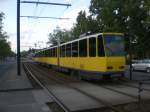 Berlin: Straenbahnlinie M13 nach Wedding Virchow-Klinikum an der Haltestelle Weiensee Betriebshof Indira-Ghandi-Strae.