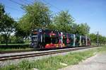 Straßenbahn Mainz / Mainzelbahn: Stadler Rail Variobahn der MVG Mainz - Wagen 231, aufgenommen im Mai 2017 zwischen Mainz-Lerchenberg und Mainz-Marienborn.