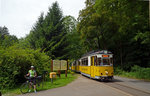 Auf dem Weg zum Lichtenhainer Wasserfall ist diese Kirnitzschtalbahn am 16.06.16 an der Haltestelle Mittelndorfer Mühle abgefahren.