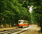 12. Oktober 1986, Dresden: Ein TATRA-Zug der Straßenbahnlinie 6 auf der Wehlener Straße kurz nach dem Verlassen der Haltestelle  Wasserwerk . Es fährt sich wohl gut auf den neu verlegten Schienen. Die am Gehweg abgelegten alten kleinen Platten sind Großverbundplatten gewichen. Tw 222 611 führt den Drei-Wagen-Zug.